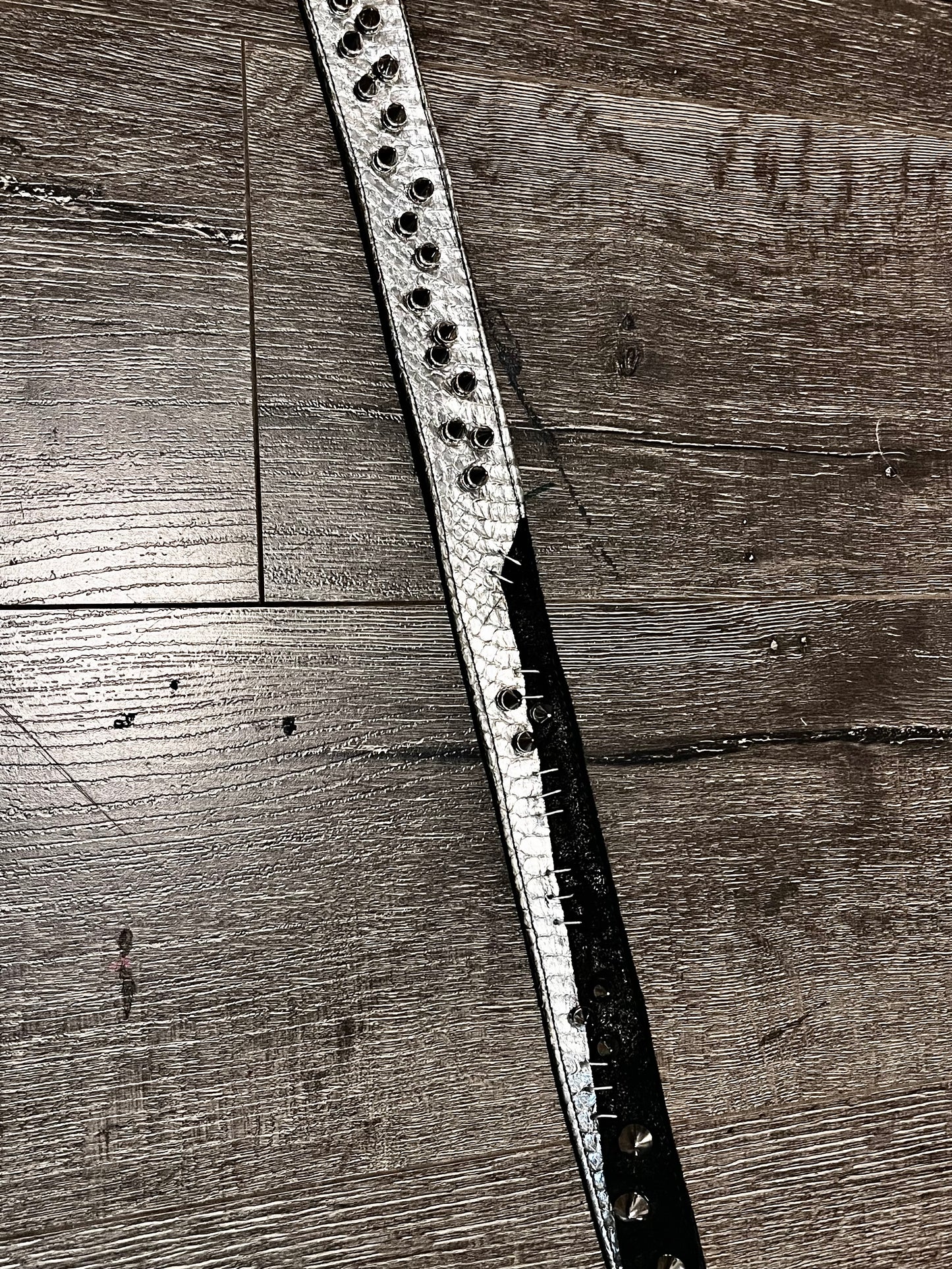SILVER SNAKE