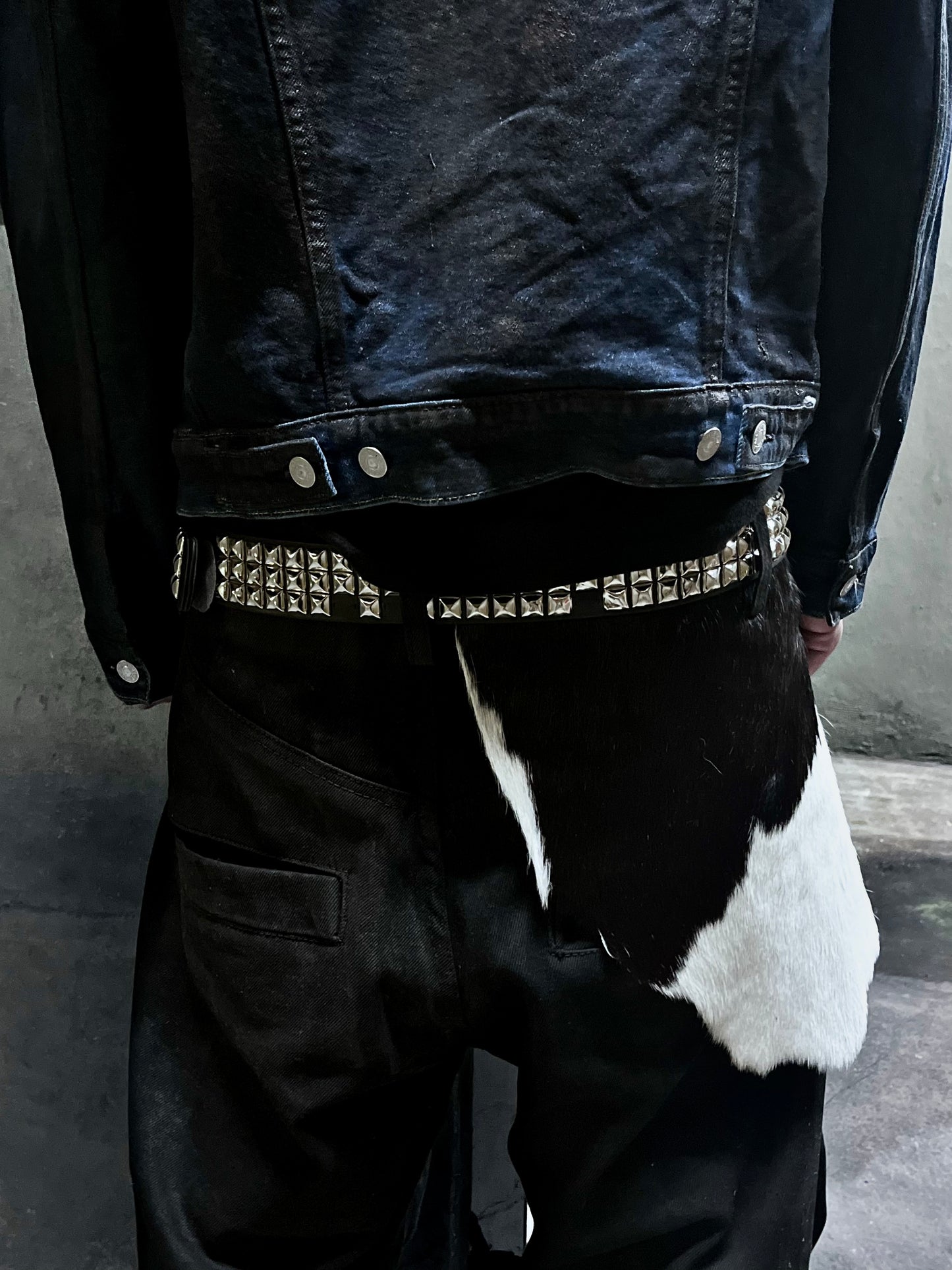 Vaca 002